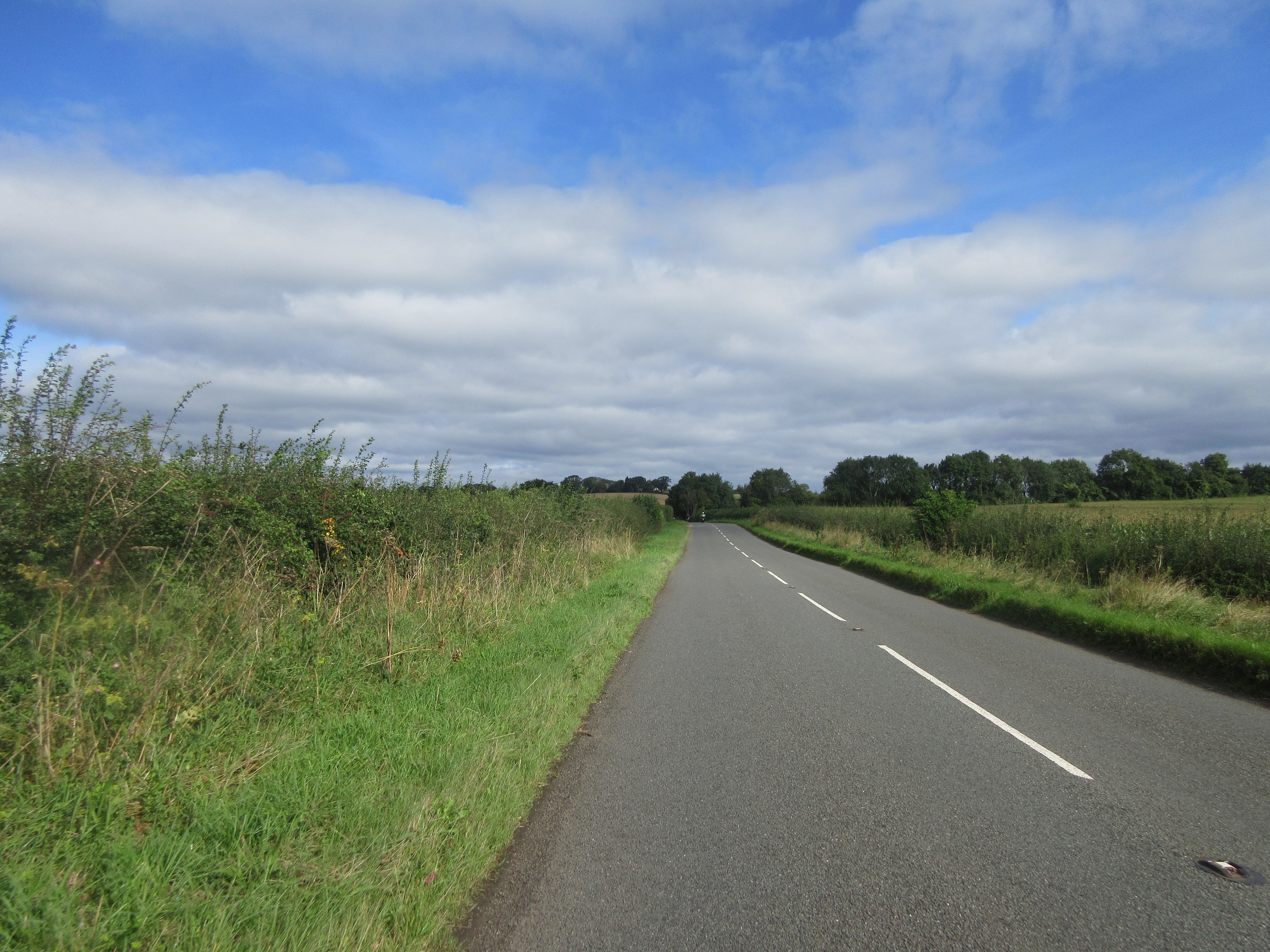 IMG_1972